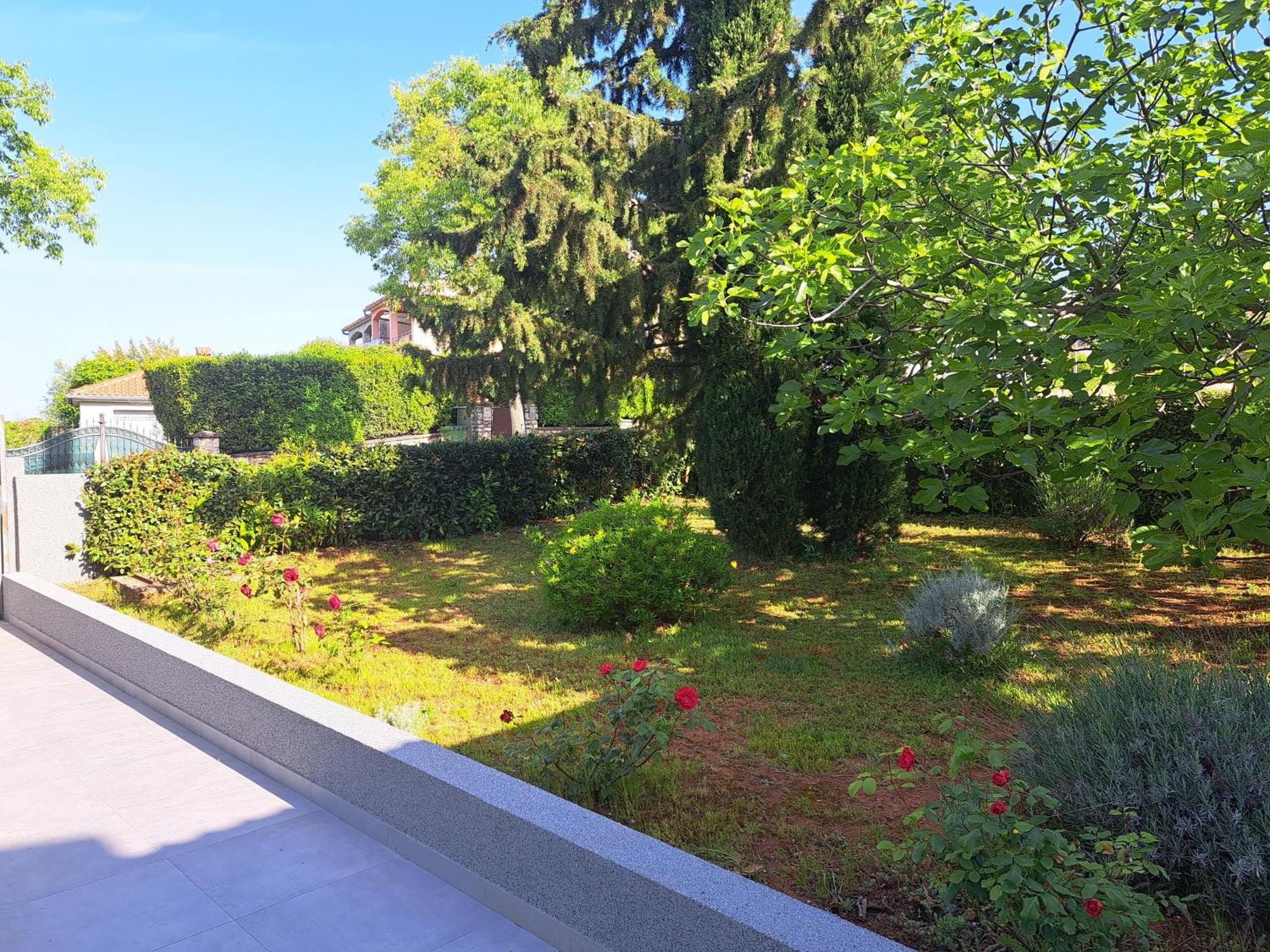 Apartment Elinor 2 Rovinj Dış mekan fotoğraf