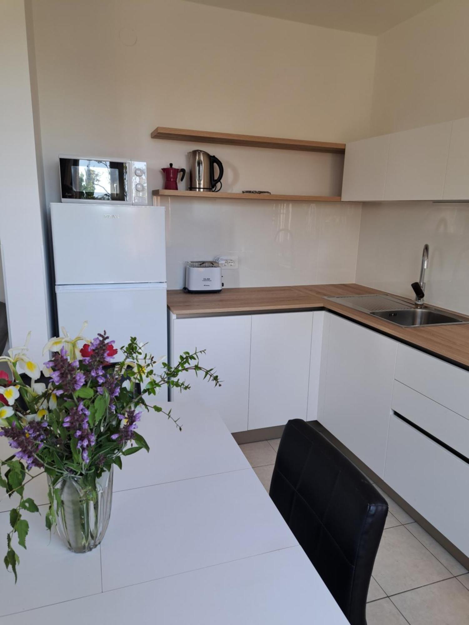 Apartment Elinor 2 Rovinj Dış mekan fotoğraf